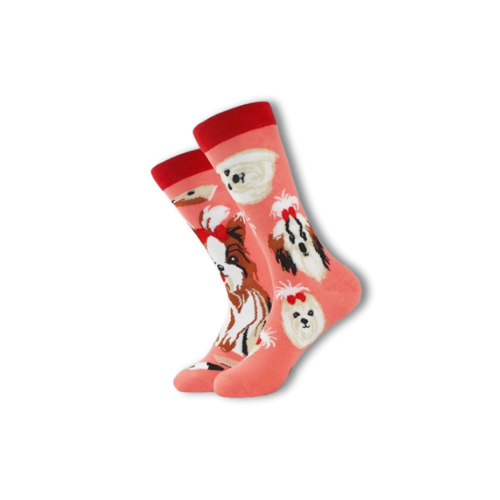 Chaussettes chien sportif