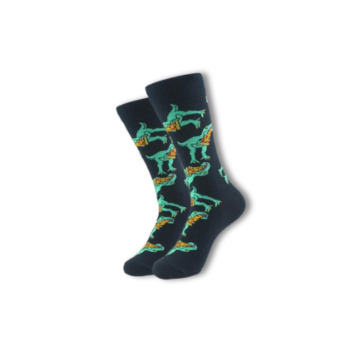 Chaussettes dino'zza