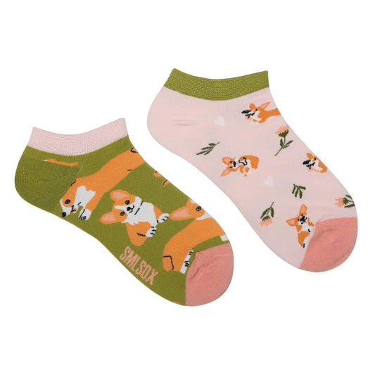 Socquettes petit chien | La Sock Box