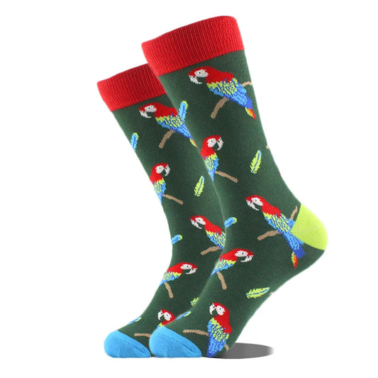 Chaussettes jolie perroquet